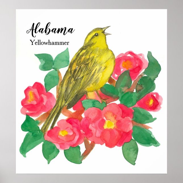 Poster Camellias rose Oiseau Yellowhammer Aquarelle (Devant)