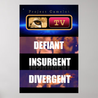 POSTER CAMELOT DU PROJET