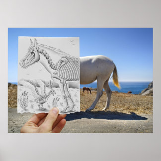 Poster Caméra Crayon - X-Ray