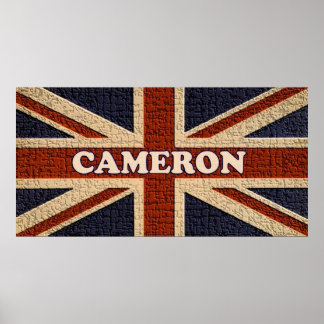 Poster Cameron ~ Élections générales politiques au Royaum