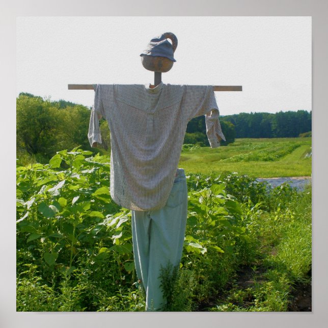 Poster Campagne Agricole Scarecrow (Devant)