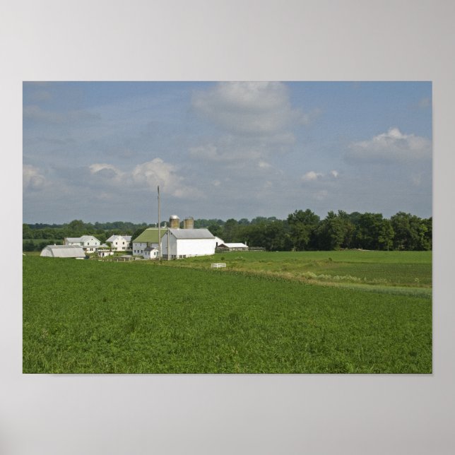Poster Campagne de Pennsylvanie (Devant)
