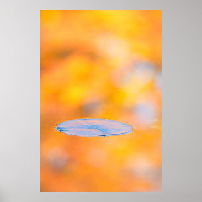 Poster Canada, Québec | Parc de conservation du Mont St-B (Devant)