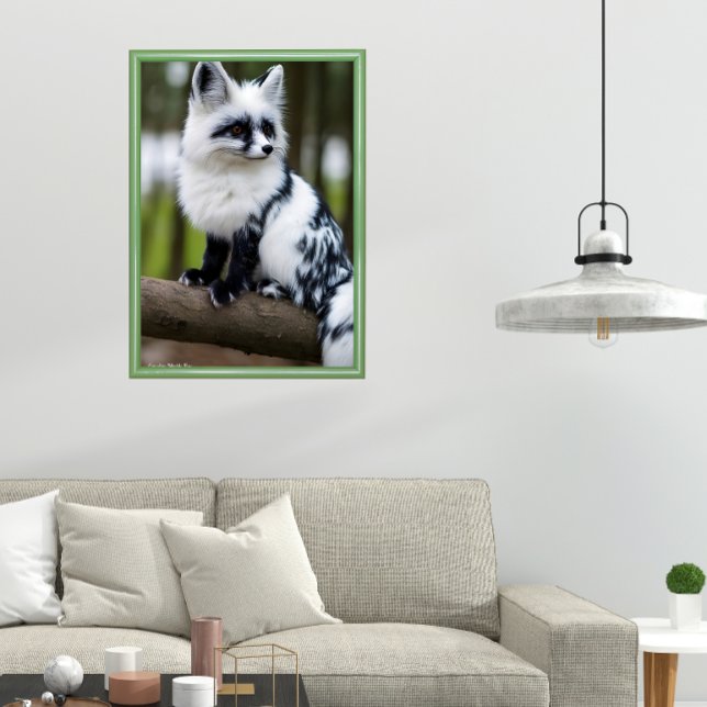 Poster Canadian Marble Fox  (Créateur téléchargé)