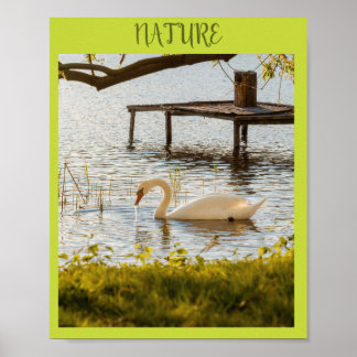 Poster Canard à l'aquarelle vintage dans la toile d'art d