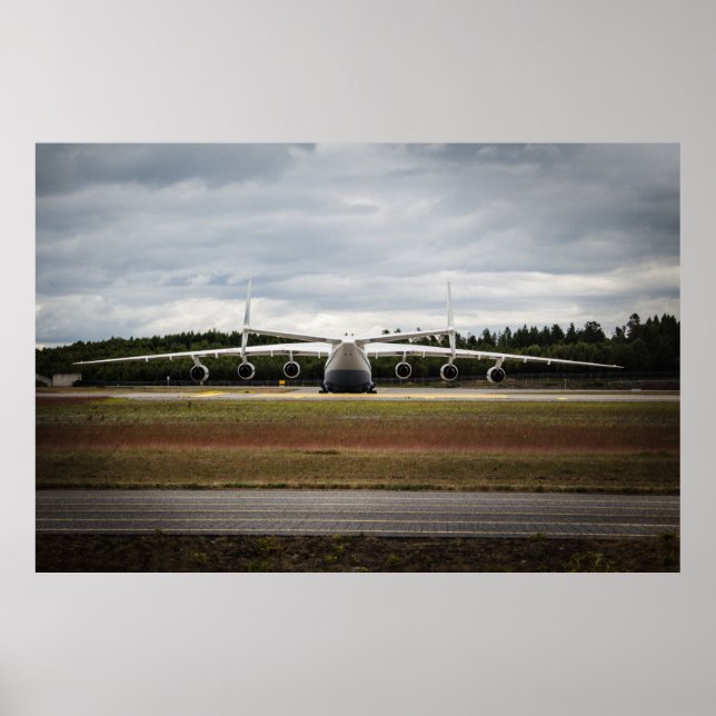 Poster Canard assis (Devant)