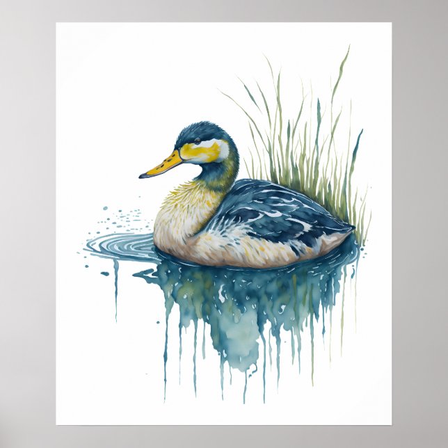 Poster canard d'aquarelle (Devant)