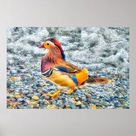 Poster Canard mandarin coloré au lac