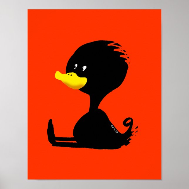 Poster canard noir (Devant)