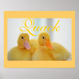 Poster Canard Oiseau Animal Mignon Poussin Coin‑coin