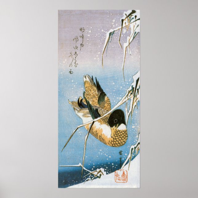 Poster Canard sauvage Nage neige Laden Reeds par Hiroshig (Devant)