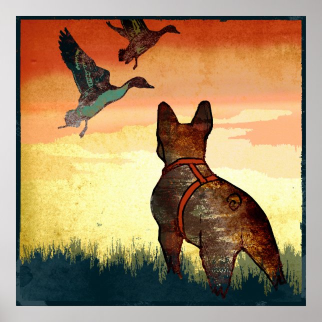 Poster Canards (Devant)