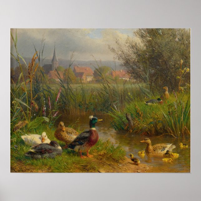 Poster Canards (Devant)