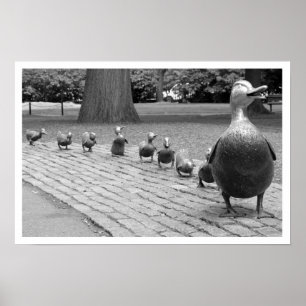 Poster Canards dans le jardin public Imprimer