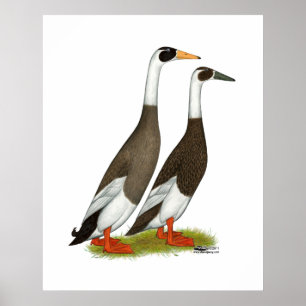 Poster Canards : Émeri Penciled Runners