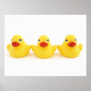 Poster Canards en caoutchouc jaunes