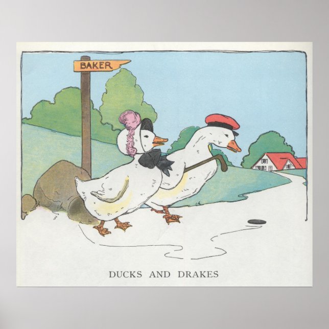 Poster Canards et Drakes (Devant)