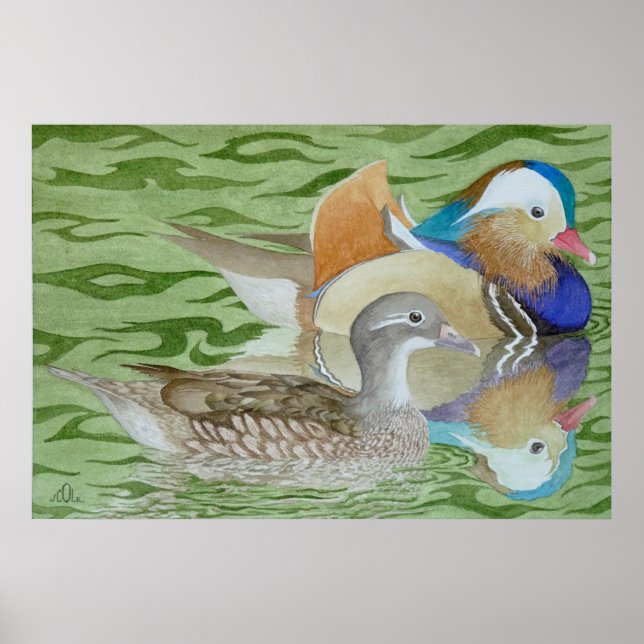 Poster Canards mandarins sur un lac (Devant)