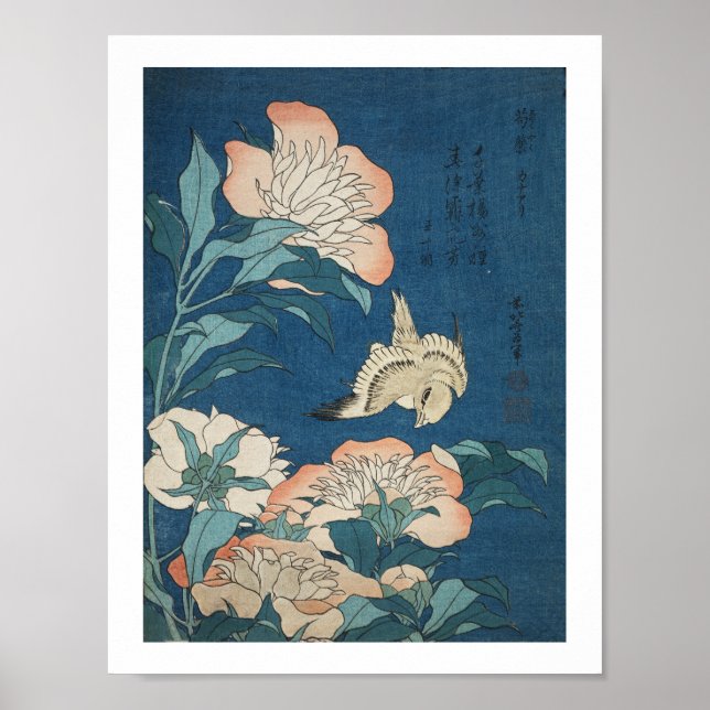 Poster Canaries et Peony (Devant)