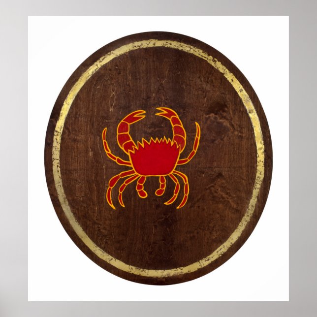 Poster Cancer 2009 (Devant)