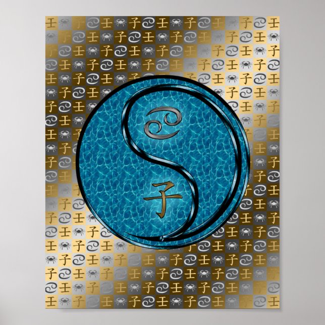 Poster Cancer et rat d'eau (Devant)