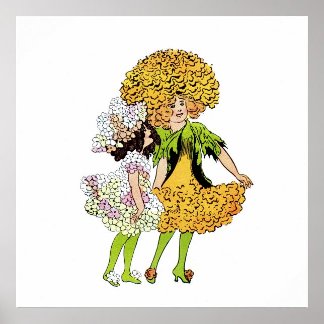 Poster Candytuft et Marigold (Devant)