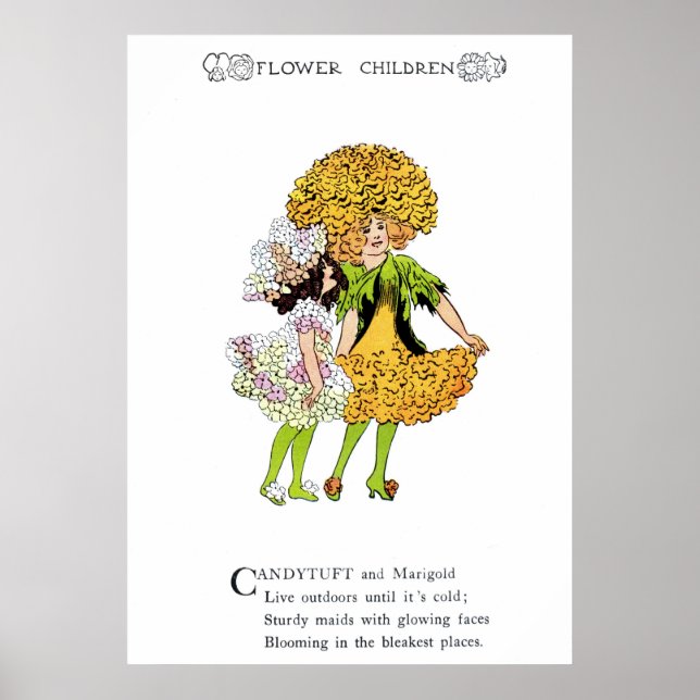 Poster Candytuft et Marigold (Devant)