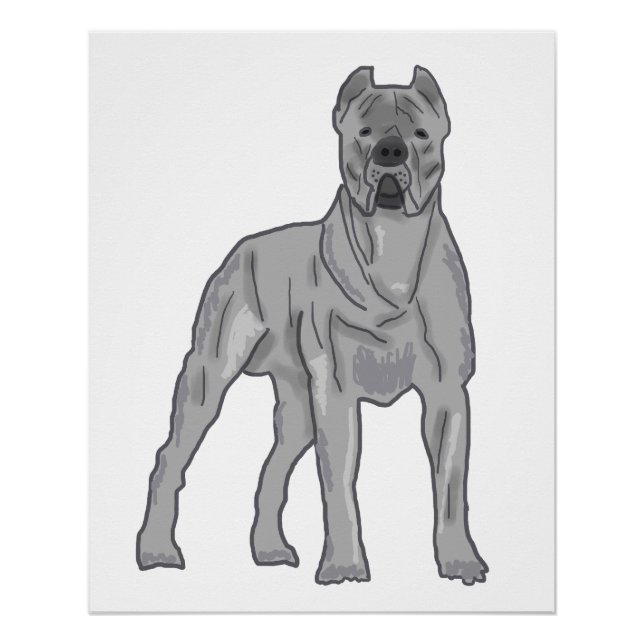 Poster Cane Corso (Devant)