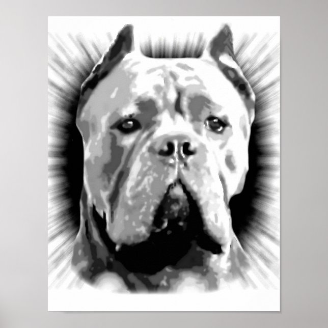 Poster Cane Corso Dog (Devant)