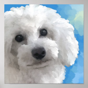 Poster caniche