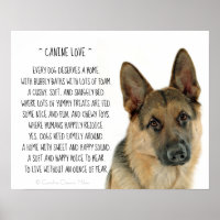 Canine Love