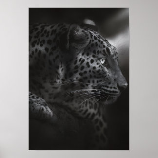 Poster Canne noire et blanche