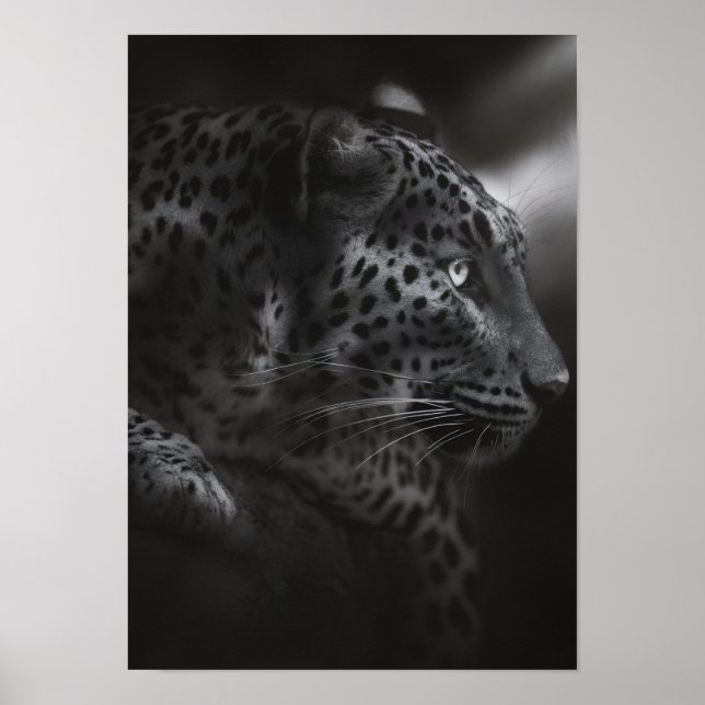 Poster Canne noire et blanche (Devant)