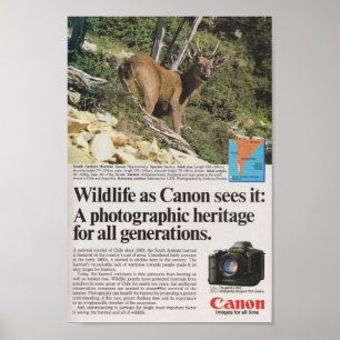 Poster Canon caméra 1980s publicité rétro antique
