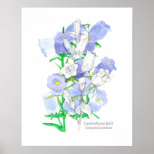 Poster Canterbury Bells Langue des fleurs Victorienne