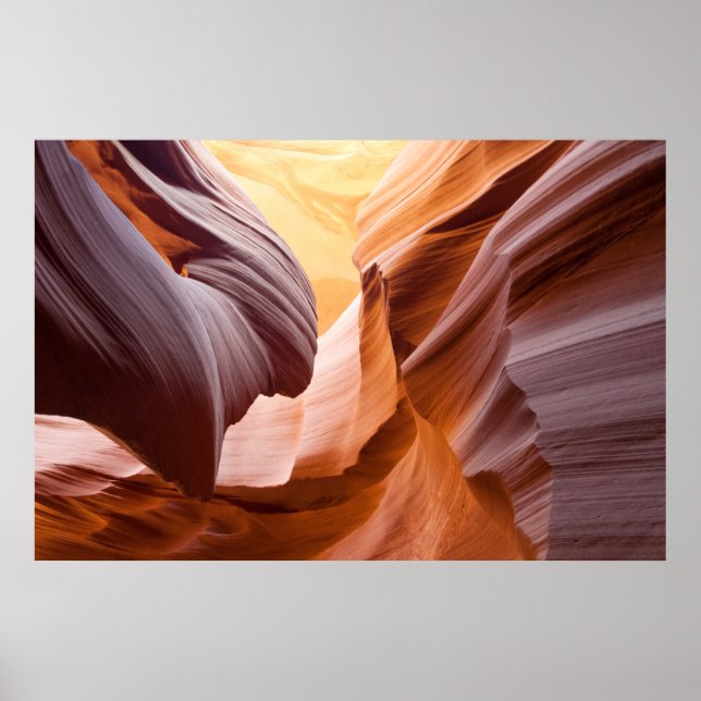 Poster "Canyon Antelope" (Devant)