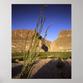 Poster Canyon de père Noël Elena
