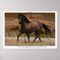 CANYON MUSTANG Cheval Conservation Art Imprimer