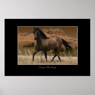 Poster CANYON MUSTANG Horse Conservation Art Print