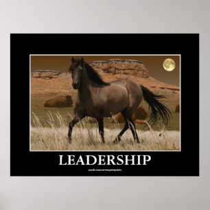 Poster CANYON MUSTANG Horse Conservation Art Print