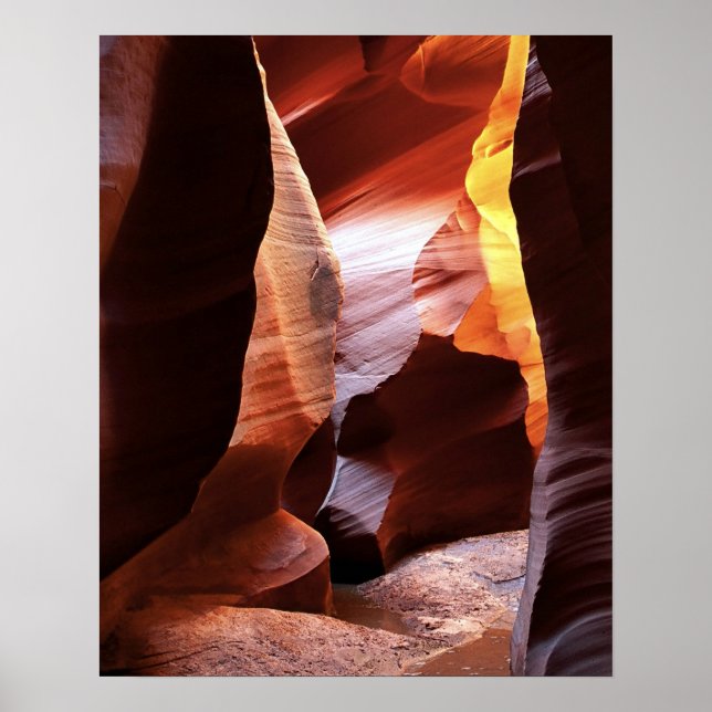 Poster Canyon X (Devant)