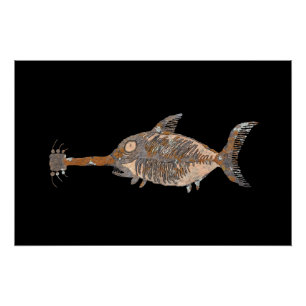 Poster Canyons Guitar Shark Talk, Nouveau-Mexique