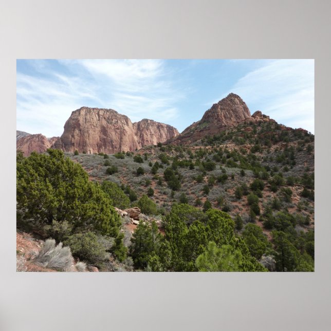 Poster Canyons Kolob au Parc national de Sion (Devant)