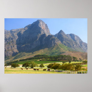 Poster Cap, Western Cape, Afrique du Sud