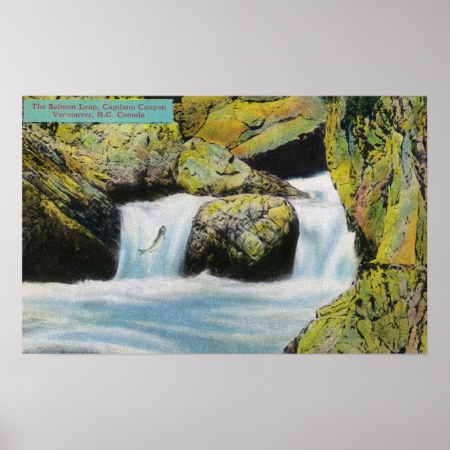 Poster Capilano Canyon Vue du Saumon en amont (Devant)