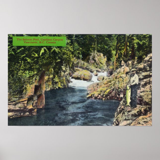 Poster Capilano Canyon Vue sur la piscine Saumon (Devant)