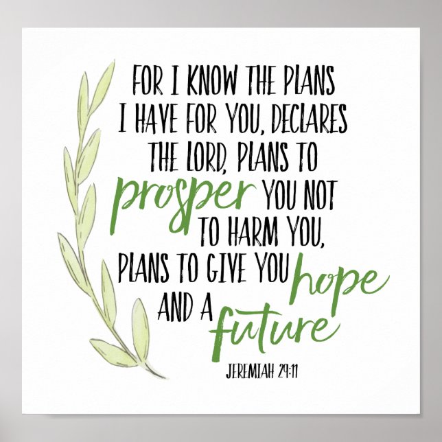 Poster Car je connais les plans que j'ai pour vous Imprim (Devant)