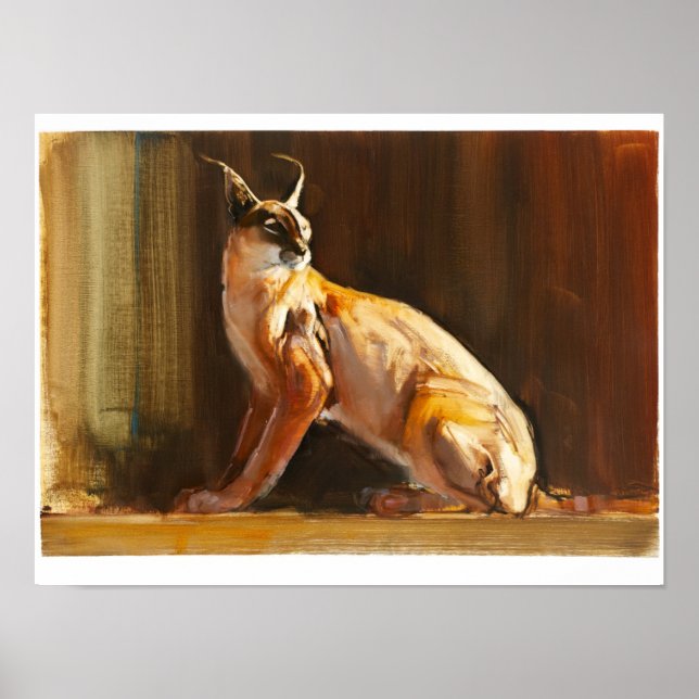 Poster Caracal arabe 2010 (Devant)