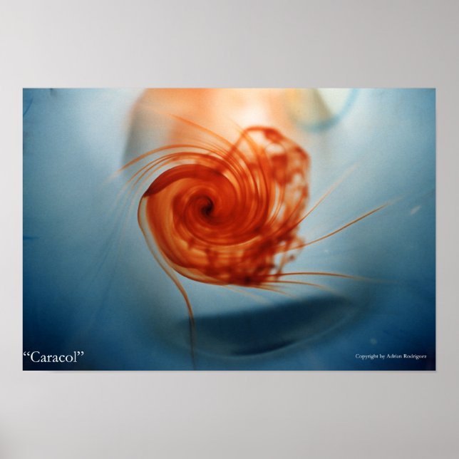 Poster Caracol (Devant)