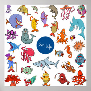 Poster Caractères Sea Life
